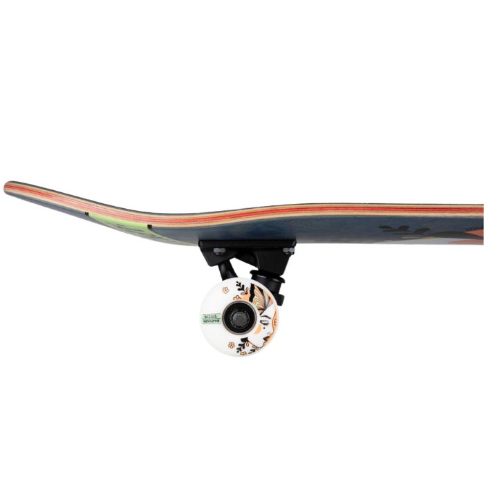 Birdhouse Complete Stage 3 Skateboards